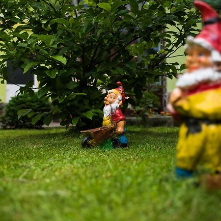 Pensiunea George Gura Rîului エクステリア 写真
